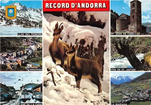 B70326 Tiere Animaux Gämse