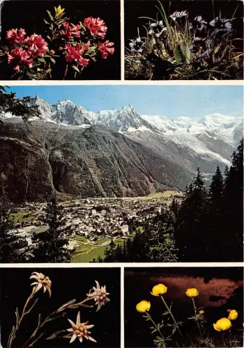 BR4433 Tout au long de nos promenade au pays du Mont Blanc fleurs flower france