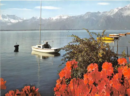 BR21246 Montreux lac Leman switzerland