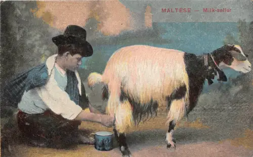 Lot 21 Malta Malteser Milch Verkäufer Ziegenmelkarten Folklore