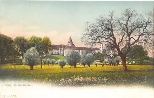 Lot 71 Schweiz Chateau de Colombier Litho