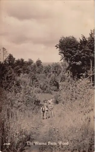 uk38253 warren farm wood real photo uk lot 16 uk