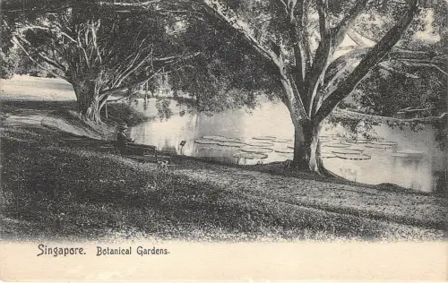 Lot 88 Botanische Gärten Singapur