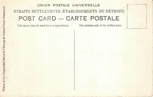 Lot 88 Botanische Gärten Singapur