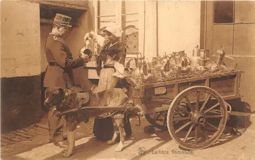 Lot 48 Flämische Milchmädchen Typ Folklore Belgien Hund Zeichnung Kutsche Mattelage Chien