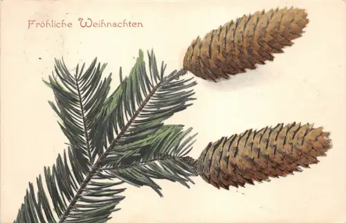 BG14646 Weihnachten weihnachten Tannenzweig Germany