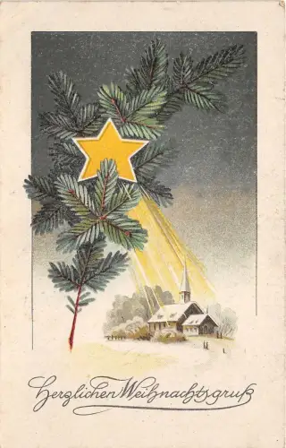 BG14851 Tannenzweig Stern weihnachten weihnachten germany