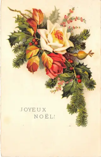 BG14820 Mistel Tannenzweig Blume Weihnachten Joyeux Noel Frankreich