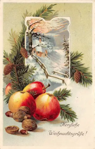 BG14713 Tannenzweig Apfelnüsse weihnachten germany