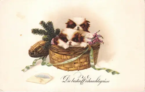 BG20489 Hund im Korb Blume Tannenzweig Weihnachten Germany
