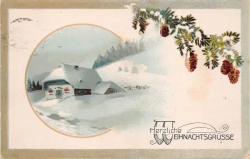 BG20561 Tannenzweig Winterlandschaft weihnachten germany