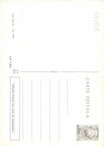 B15948 Rumänien Chat Katze