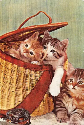 B3316 Chats Katzen Rumänien Front/Back Scan