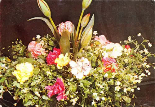 B3342 Rumänien Fleurs Front/Back Scan