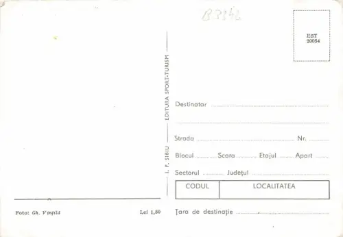 B3342 Rumänien Fleurs Front/Back Scan