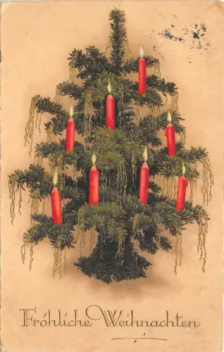 BG32545 Christbaumkerze Tanne weihnachten germany