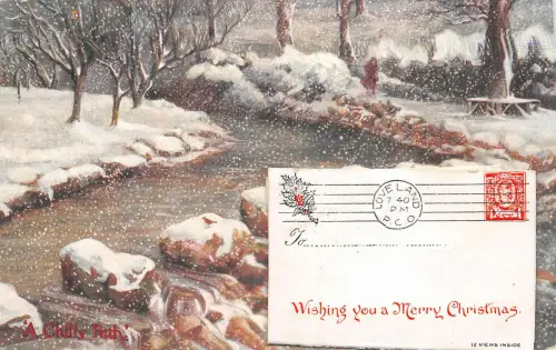 uk41437 wish you a merry christmas real photo uk leporello wye valley