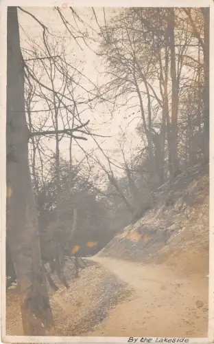 uk41276 by the lake side real photo uk christmas littlehampton