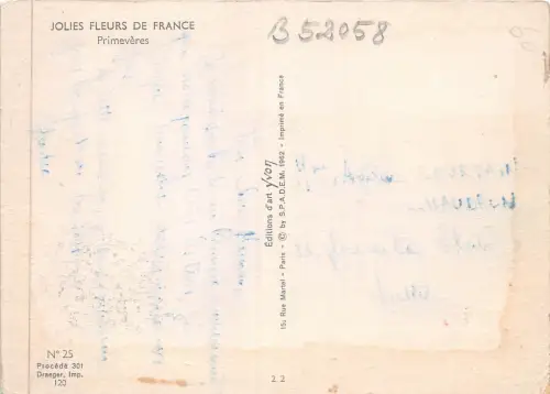 B52058 Fleurs Flowers