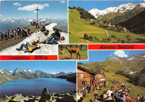 BG11283 Lengspitze Ahrntal Waldnersee Cerf Hirsch Italien