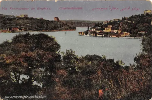 B2531 Türkei Istanbul Constantinopole Vue Panoramique de Bosphor Front/Back Scan