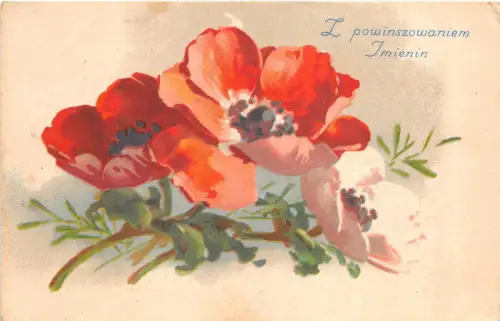 B94435 i powinszowaniem iminin Blume Polen Name und Glückwunsch