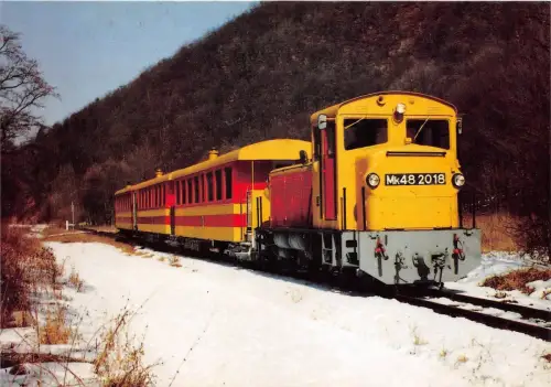 BC59474 Szazevexs a Borsonyo Erdei Vasut Kiralyret Train Trein