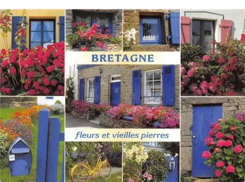 B51276 Bretagne fleurs senkt Multi Vues Frankreich