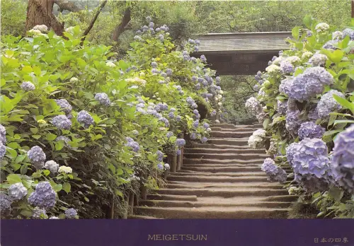 B73096 Meigetsuin kanatgawa Japan