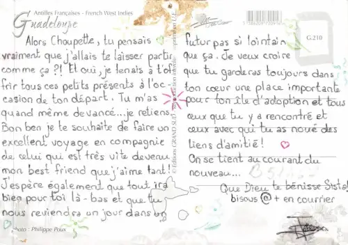 B51467 Tiere Animaux Delfine Dauphins