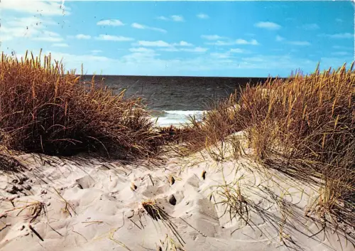 BG10063 dunen und meer germany