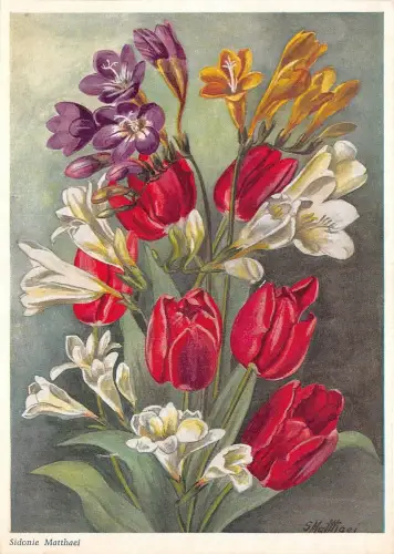 B44108 Fleurs Blumen Kunst Reproduktion von Sidonie Matthaei