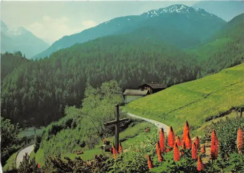 B52588 Viceres Wallis Schweiz