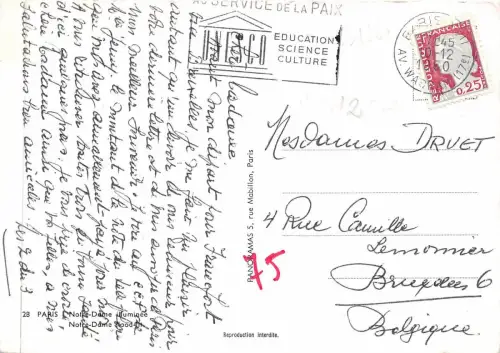 B51257 Paris Notre Dame Frankreich