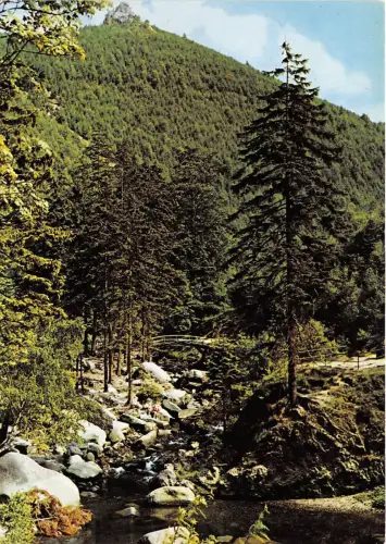 B35245 Der Schöne Harz Partie im Okertal Deutschland