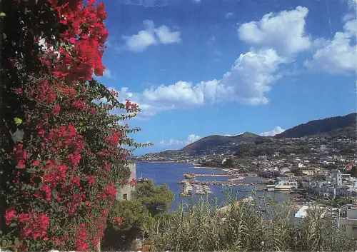 B33786 Ischia Lacco Ameno Italien