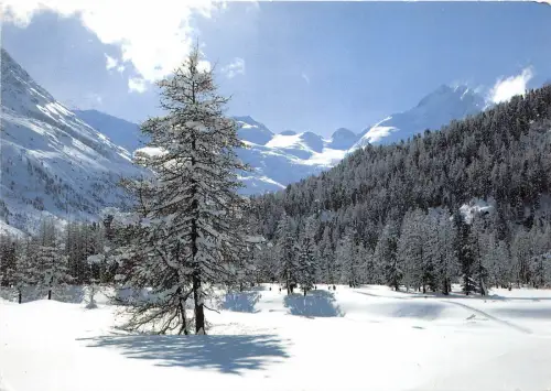 BG18039 Wintermorgen bei Morteratsch Schweiz