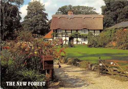 B88862 ein neues Waldhaus Passford Farm in der Nähe von Lymington UK