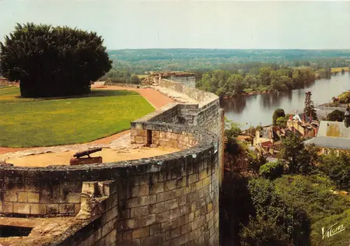 BR2657 Chinon Remparts du chateau et panorama sur la Vienne france