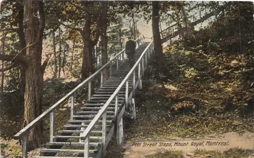 Lot219 Peel Street Steps Mount Royal Montreal Canada