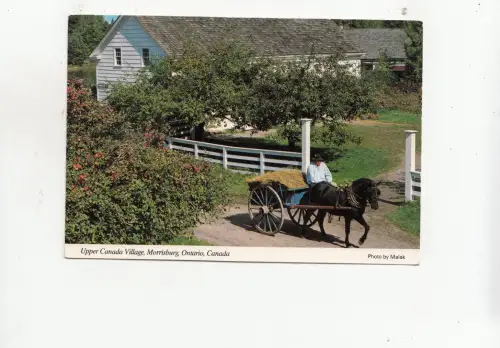 BF282314 canada morrisburg ontario village horse and cart front/back image