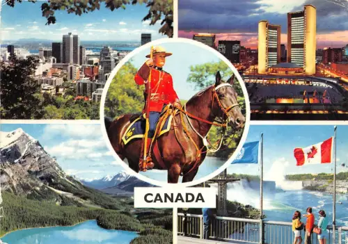 BG13883 Multi Views Militär Pferd Militaria Kanada