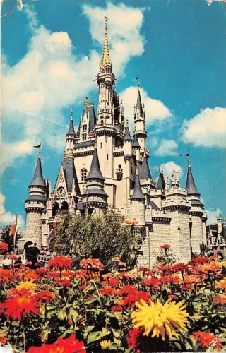 B32468 Walt Disney World Cinderella Castle usa