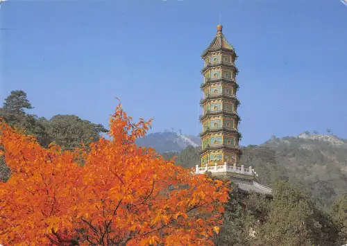 BT13821 Die glasierte Fliesenpagode auf dem Frauhrrance Hügel Beijing China