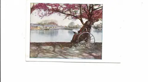 B81645 Wagentypen Japan Vorder-/Rückbild