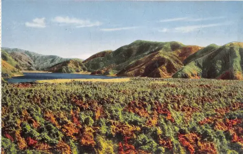 Lot 28 Japan Landschaft