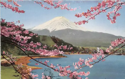 Lot 28 Japan Landschaft Reittier Fuji Kirschblüte