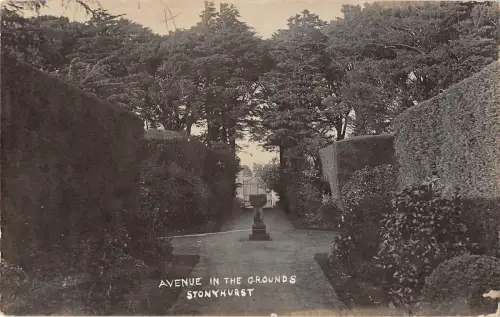 BR81775 Allee im Gelände Steinhurst Echtfoto Wales