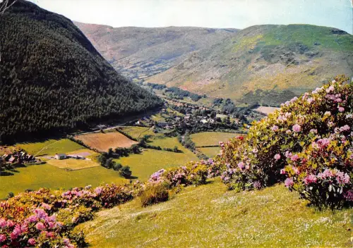 B102092 der Pass bei Dinas Mawddwy Merionetshire Wales