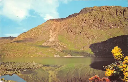 uk6633 foxes path cader idris wales uk